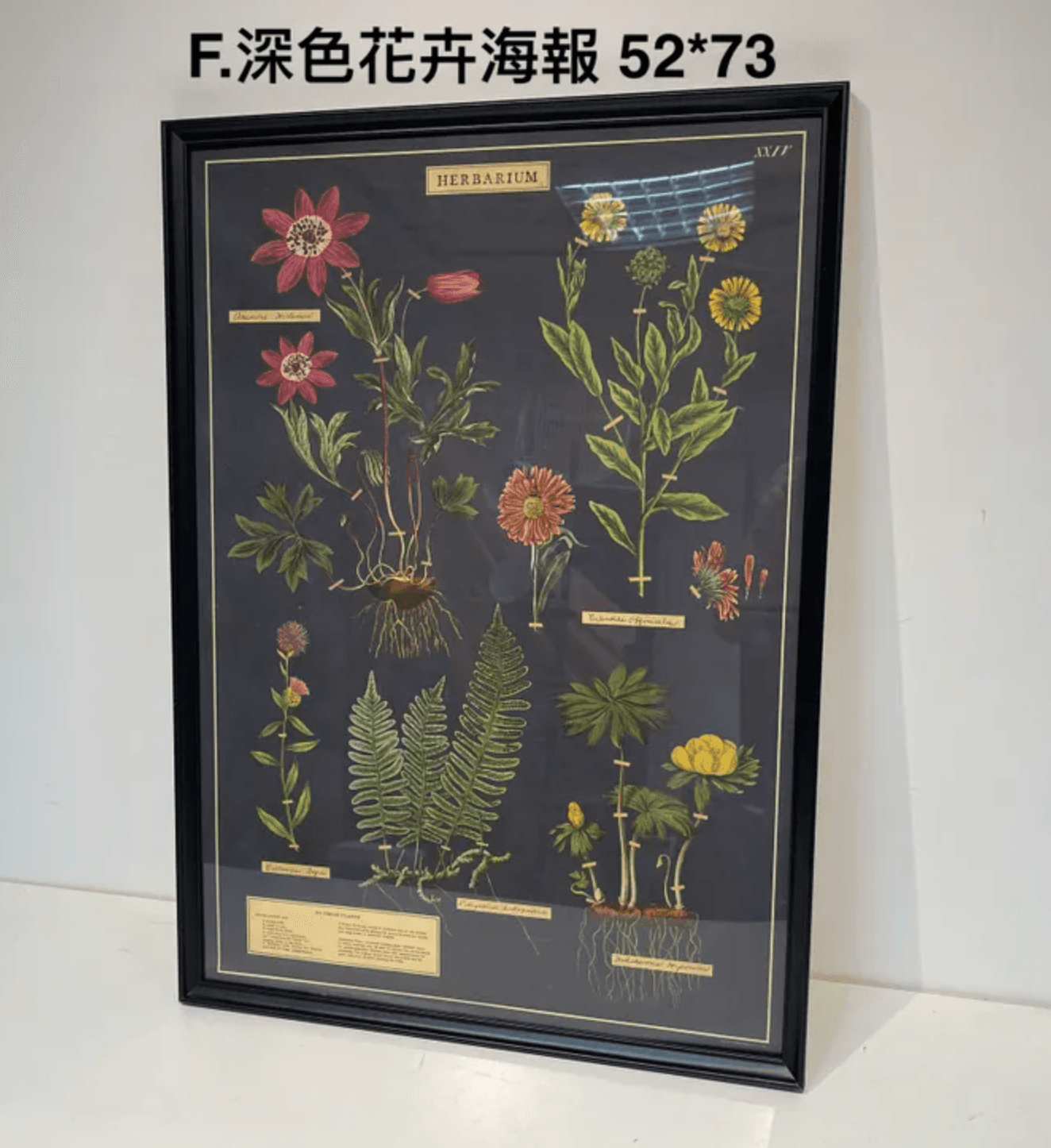 深色花卉海報